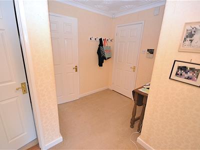 Picture 19